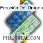 Erección Del Dragón new02